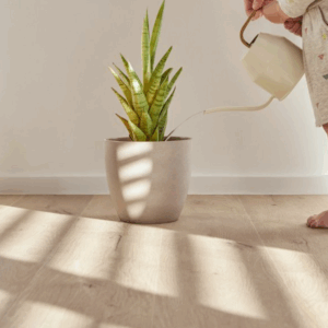 *Klik*Virino rustiek plank H