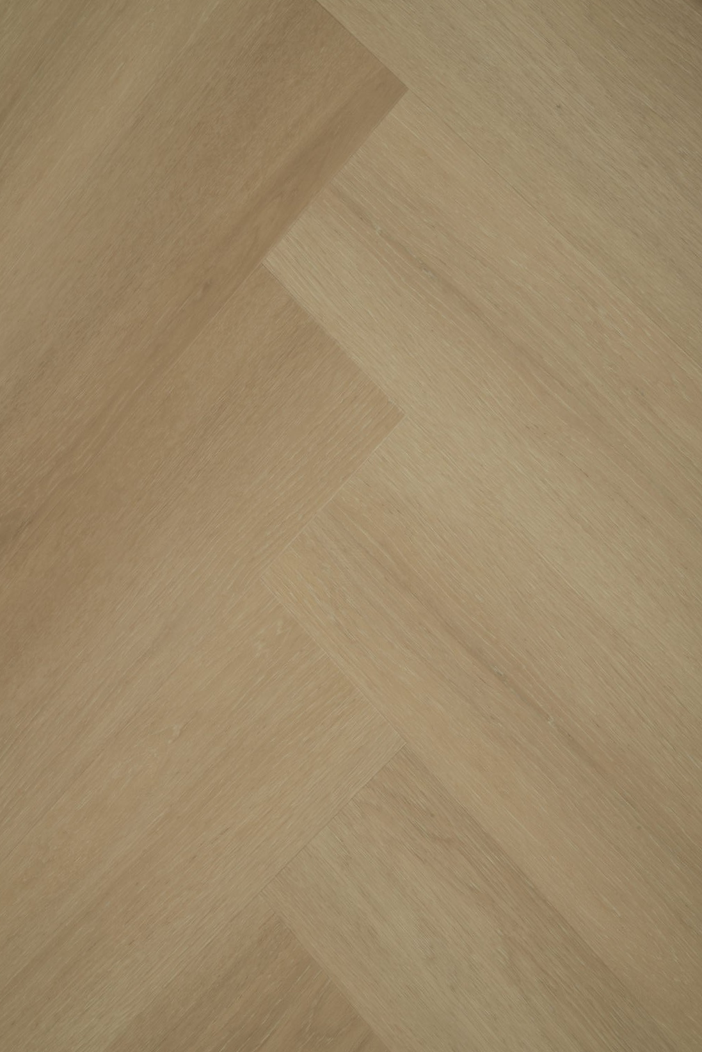 Virino nature visgraat F - Afbeelding 3